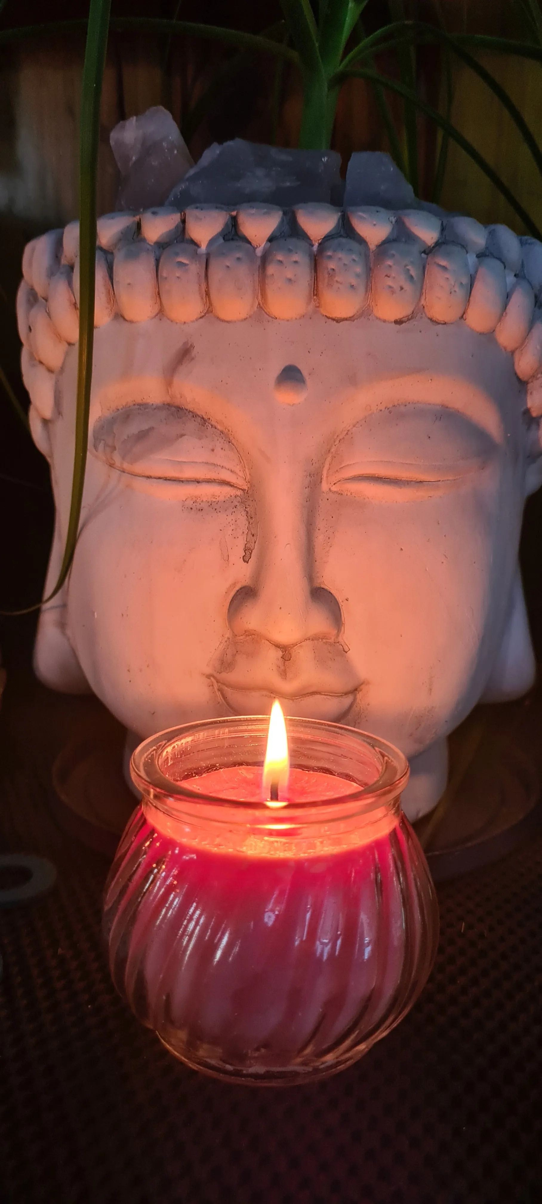 Sale💥WILDBERRY BLISS CANDLES